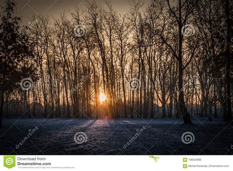 An Early Morning Sunrise During Winter In A Frozen Cold And Snow Stock