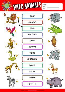 Get your free printable english animals flashcards! Wild Animals ESL Matching Exercise Worksheet For Kids in ...
