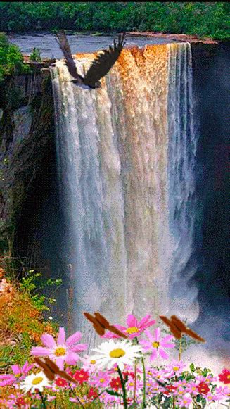 Here are many live wallpapers and live environments that will make your phone look. Photo: Splendida cascata 🌹 🍃 🌹 🍃 🌹 🍃 🌹 🍃 🌹 🍃 🌹 🍃 🌹 🍃 🌹 🍃 🌹 🍃 🌹 🍃 🌹 🍃 🌹 🍃 | Nature pictures ...