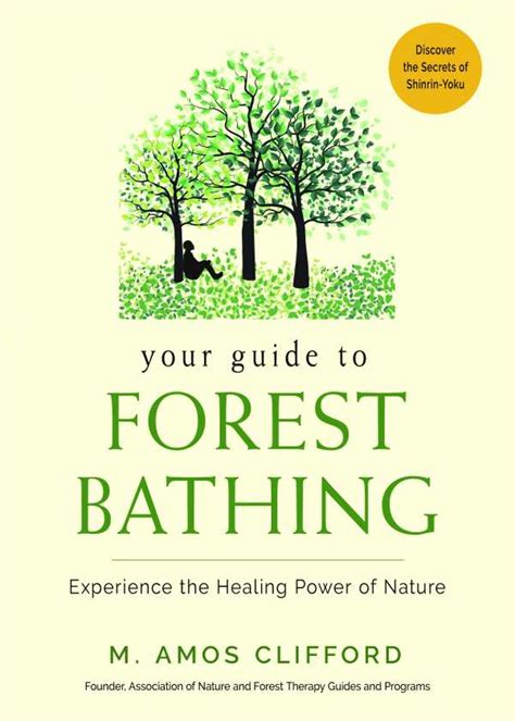 Review Of Your Guide To Forest Bathing 9781573247382 — Foreword Reviews