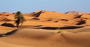 Photos du désert du Sahara » Voyage - Carte - Plan