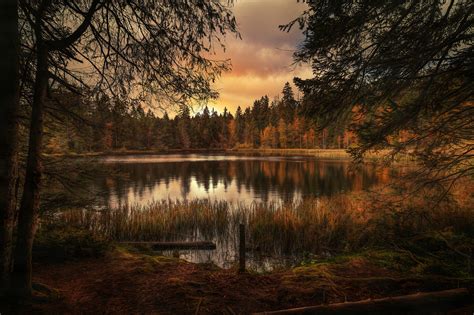 Forest Lake Landscape Wallpaperhd Nature Wallpapers4k Wallpapers