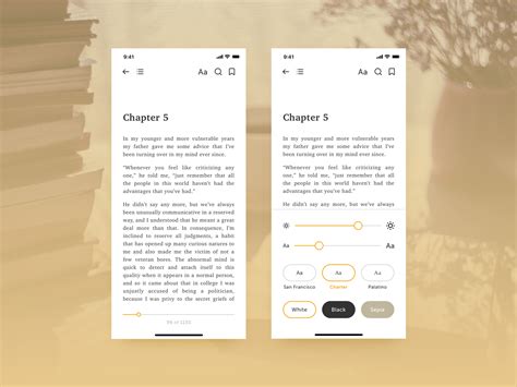 Book Reader App Redesign Reader View And Settings By Nina Wilczewska On