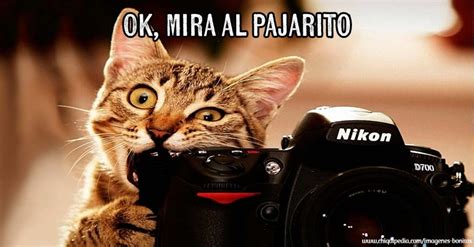 Las Mejores IMAGENES DE RISA 【Fotos Chistosas y Divertidas】