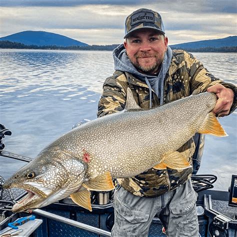 Leeches, chronamids and callibeatis dries,nymphs and emergers are all working well. Odell Lake Mackinaw: Oregon's Best Lake Trout Fishing ...