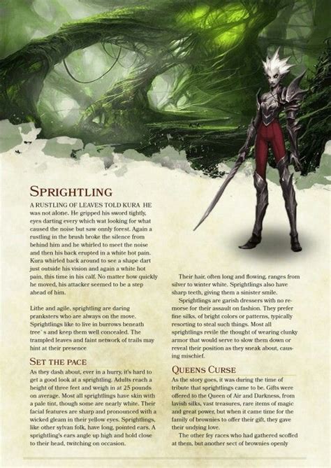 Dnd Homebrew Race Sprightling Dungeons And Dragons Homebrew Dnd