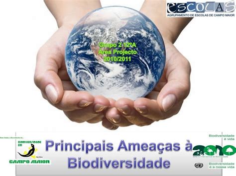 Principais Ameaças à Biodiversidade Ppt