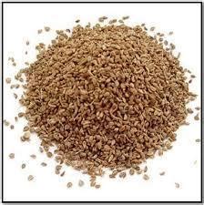 Carom seeds are closely related to cumin, dilli and caraway. Carom Seeds, Cooking Masala, Spices, Indian Spice, Cooking ...