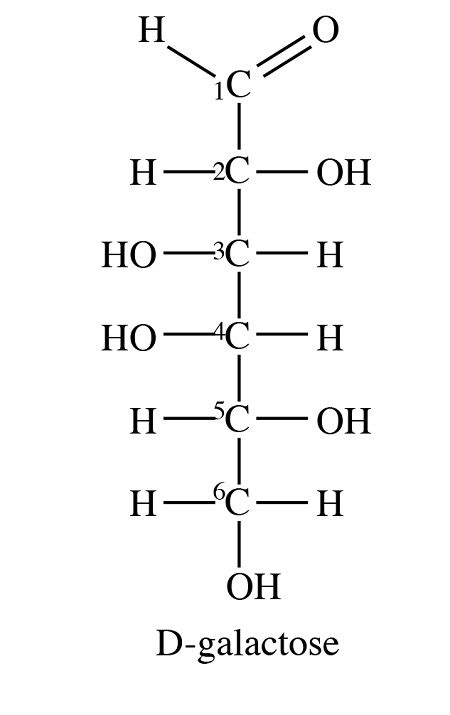 Draw A Haworth Projection For Alpha D Galactopyranose