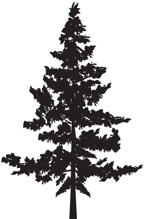 Download High Quality Pine Tree Clip Art High Resolution Transparent