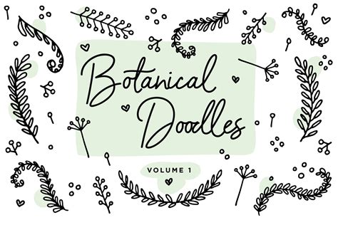 Botanical Line Doodles Vol 1 Pre Designed Photoshop Graphics