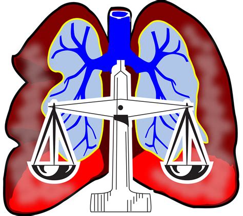 If you have been diagnosed with mesothelioma, you were likely exposed to asbestos for a prolonged period at some time in your life. mesothelioma attorney