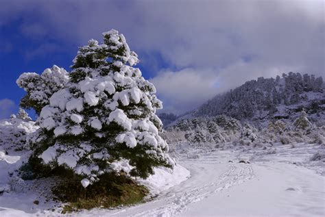 La Malagueña Sierra De Las Nieves Se Convertirá En El Decimosexto