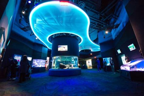 Ripleys Aquarium To Transform Into A One Night Only Nightclub Edm