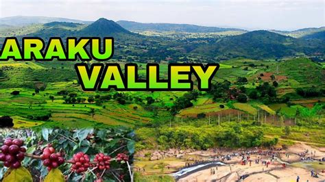 Araku Valley Best 8 Places Of Araku Valley Youtube