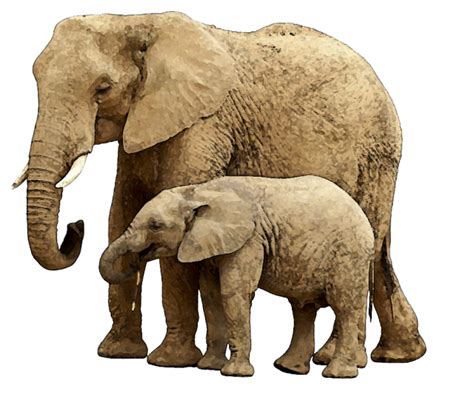 Baby Elephant Png Image With Transparent Background Png Arts