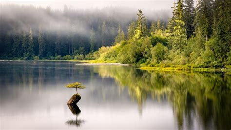 Fairy Lake Vancouver Island British Columbia Oc 2048x1152 R