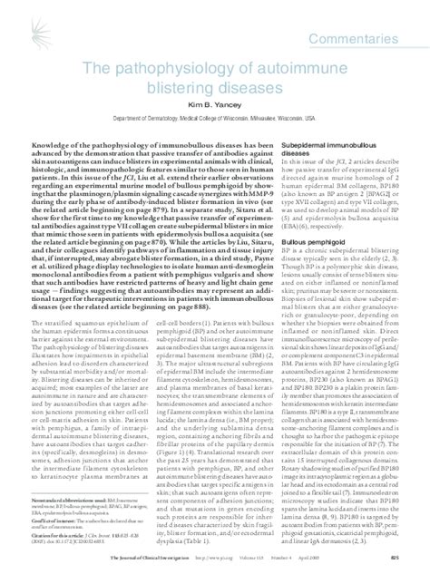Pdf The Pathophysiology Of Autoimmune Blistering Diseases Kim