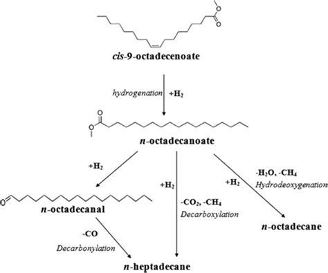 Catalytic Pathways Of Methyl Oleate Deoxygenation Over Pdsba 15