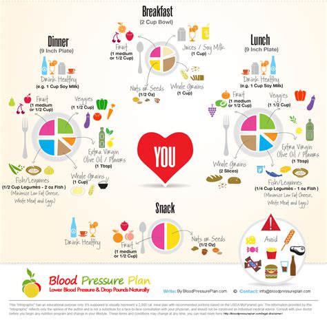 Reduce sodium and salt in your diet zincrease fruits vegetables and potassium rich foods zdecrease total fat saturated fat and cholesterol in your diet. Download Free DASH Diet Cookbook With Weekly Meal Plan