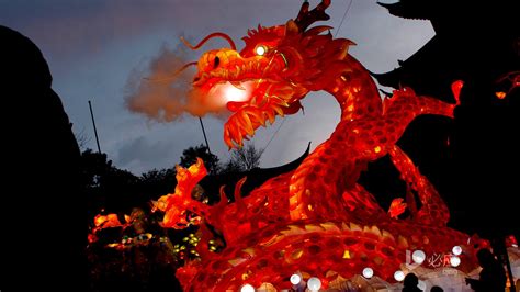 Photography Chinese Chinese Dragon Festivals Dragon Fire Dragon Hd
