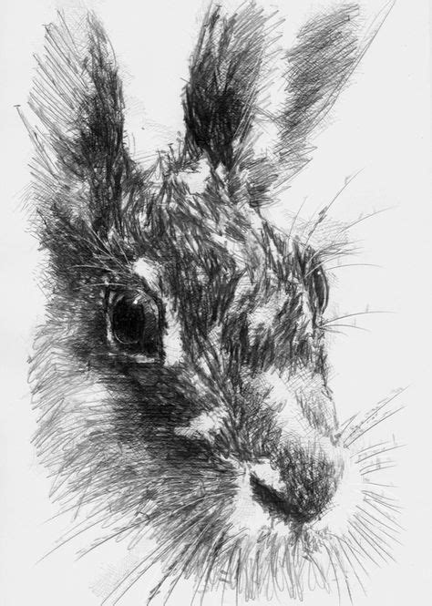 Hare Head Sketch A Day Watercolor Sketch Sketches