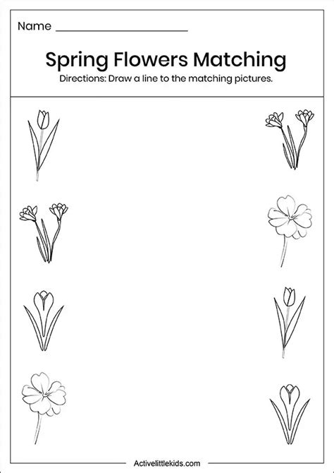 Match The Flowers With Their Name Worksheet 1 Teaching My Kid