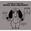 Switch Dog Anatomy By Joaoppereiraus On Newgrounds