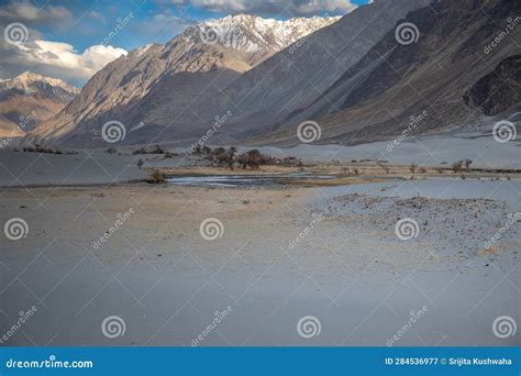 Hunder White Sand Desert In Nubra Valley Ladakh India Stock Image