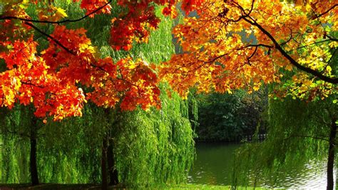 Late Autumn Lake View Wallpapers Wallpaper Cave