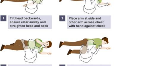 Welcome to cpr test where you can take free online cpr tests, practice exams, and quizzes.our practice tests are designed to help you refresh your knowledge of basic life support, cpr and first aid. Anatomy of the heart - CPR Test
