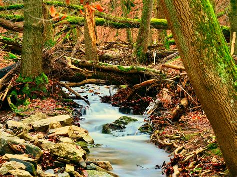 Bachlauf Im Wald Foto And Bild Landschaft Bach Fluss And See Bachläufe