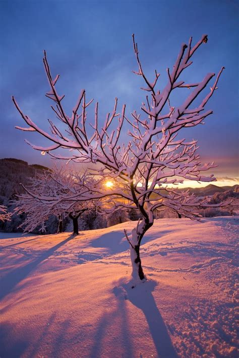 Snow Winter Beautiful Landscapes Winter Scenes