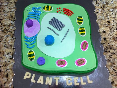 Plant Cell Cake Plant Cell Project Animal Cell Project Cells Project