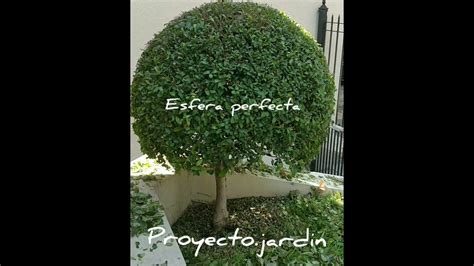 Esfera Perfecta Youtube