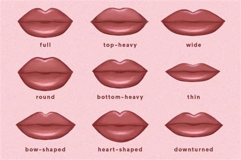 Which Of The 9 Lip Shapes Do You Have Plus How To Enhance Each In