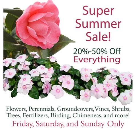 Calloways Super Summer Sale~ 20 50 Off Everything This Weekend My