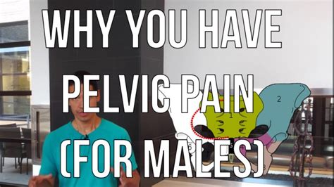 Pelvic Pain Symptoms And Causes For Males Youtube
