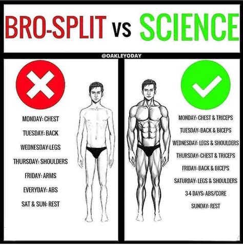 Bro Split Vs Science Fitnessvsgym Workout Splits Gym Workouts