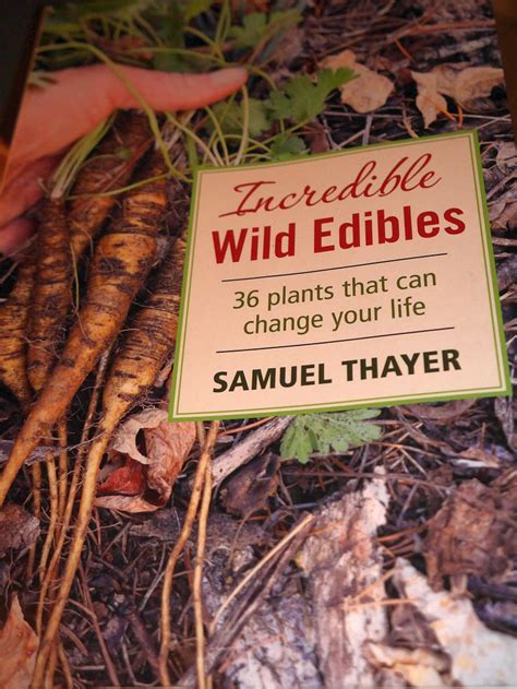 Incredible Wild Edibles 36 Plants That Can Change Your Life By Samuel