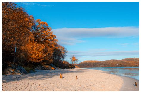 White sands is situated nearby to morar. The White Sands of Morar | On the coastal route close to ...