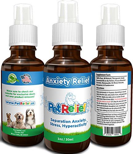 Top 15 Best Dog Anxiety Medications For Calming Dogs In 2019