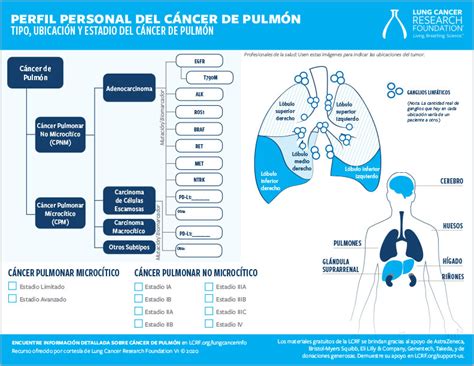 Free Educational Materials Lung Cancer Research Foundation