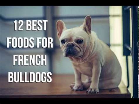 Either way, there are plenty of dog foods that are specially formulated to appease the sensitive stomachs of boxers. 12 Best Dog Foods For a French Bulldog With Sensitive ...