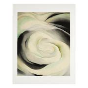 Thus, it is not surprising that what she did with flowers in the 1920s and thereafter was largely the result of combining the principles she learned from photography with those of the. Georgia O'Keeffe Abstraction White Rose (Folio) | Tate