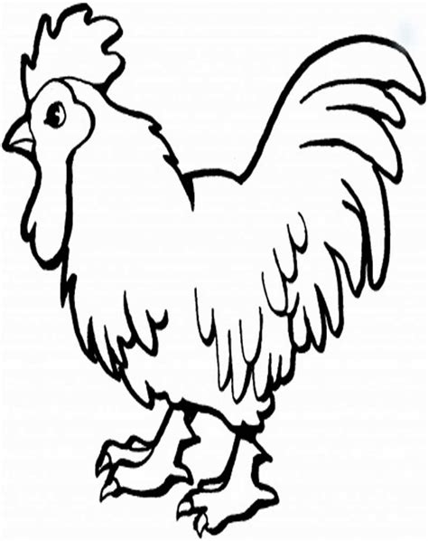 Mewarnai gambar ayam goreng halaman mewarnai anak. Gambar Animasi Ayam Gif | Animegif77