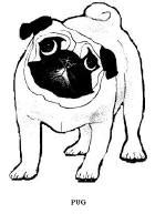 Each one is more intricate than the previous and is a wonderful. Dog and Pug Coloring Book - Dog Picture Book - Child ...