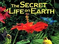 The Secret of Life on Earth (1993) - Rotten Tomatoes