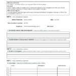 Fault Report Template Word Professional Templates Professional