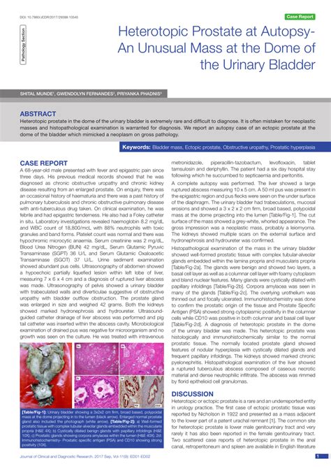 Pdf Heterotopic Prostate At Autopsy An Unusual Mass At The Dome Of